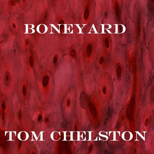 Cover art for Boneyard
